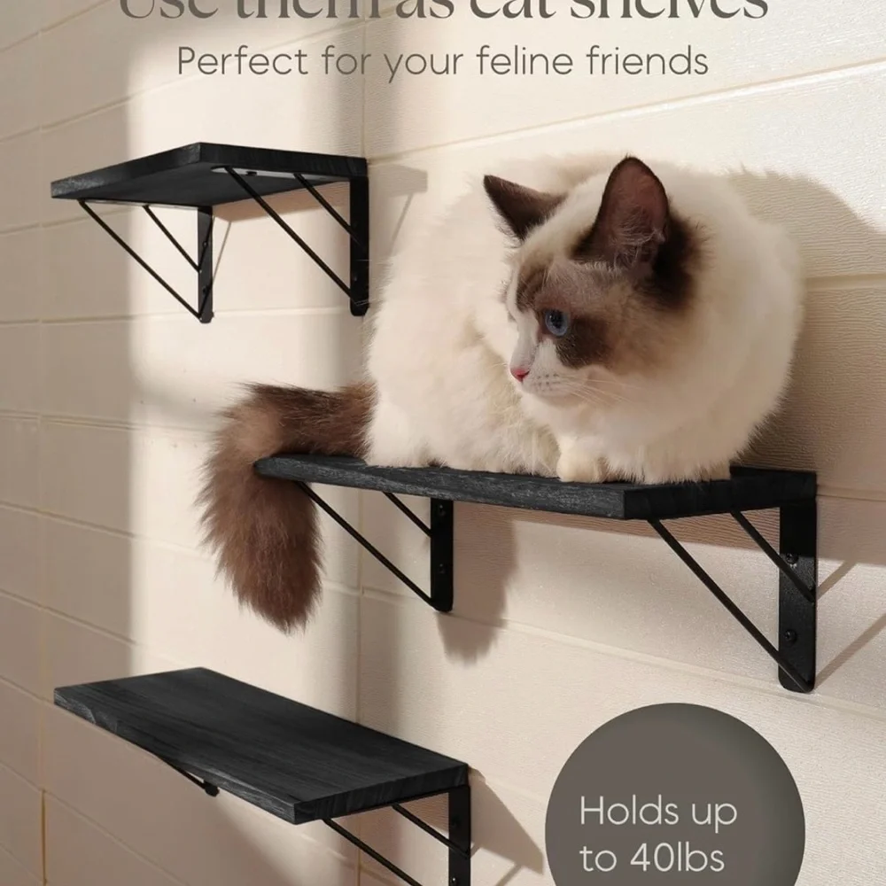 Wall Shelves Brand New in Original Packaging!